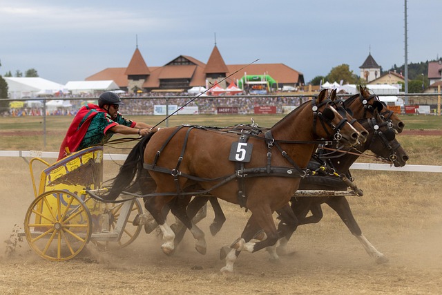 也是冰雪运 也是冰雪运